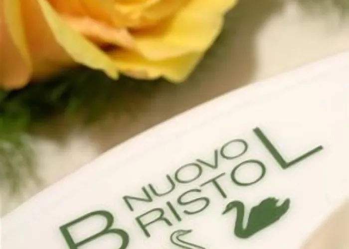 Bristol 3* 알라시오